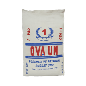 OVA 1 BÖREKLİK PASTALIK